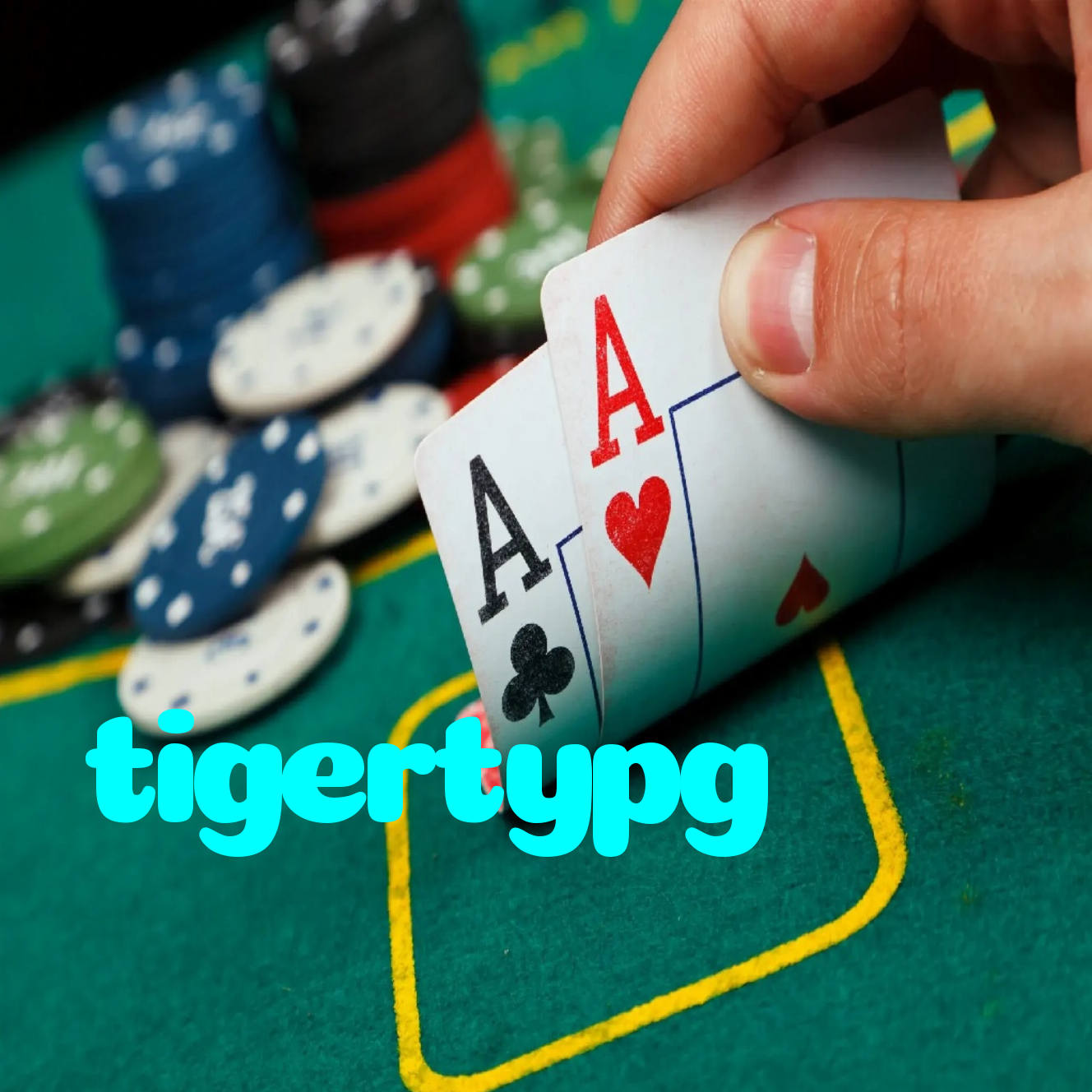 tigertypg