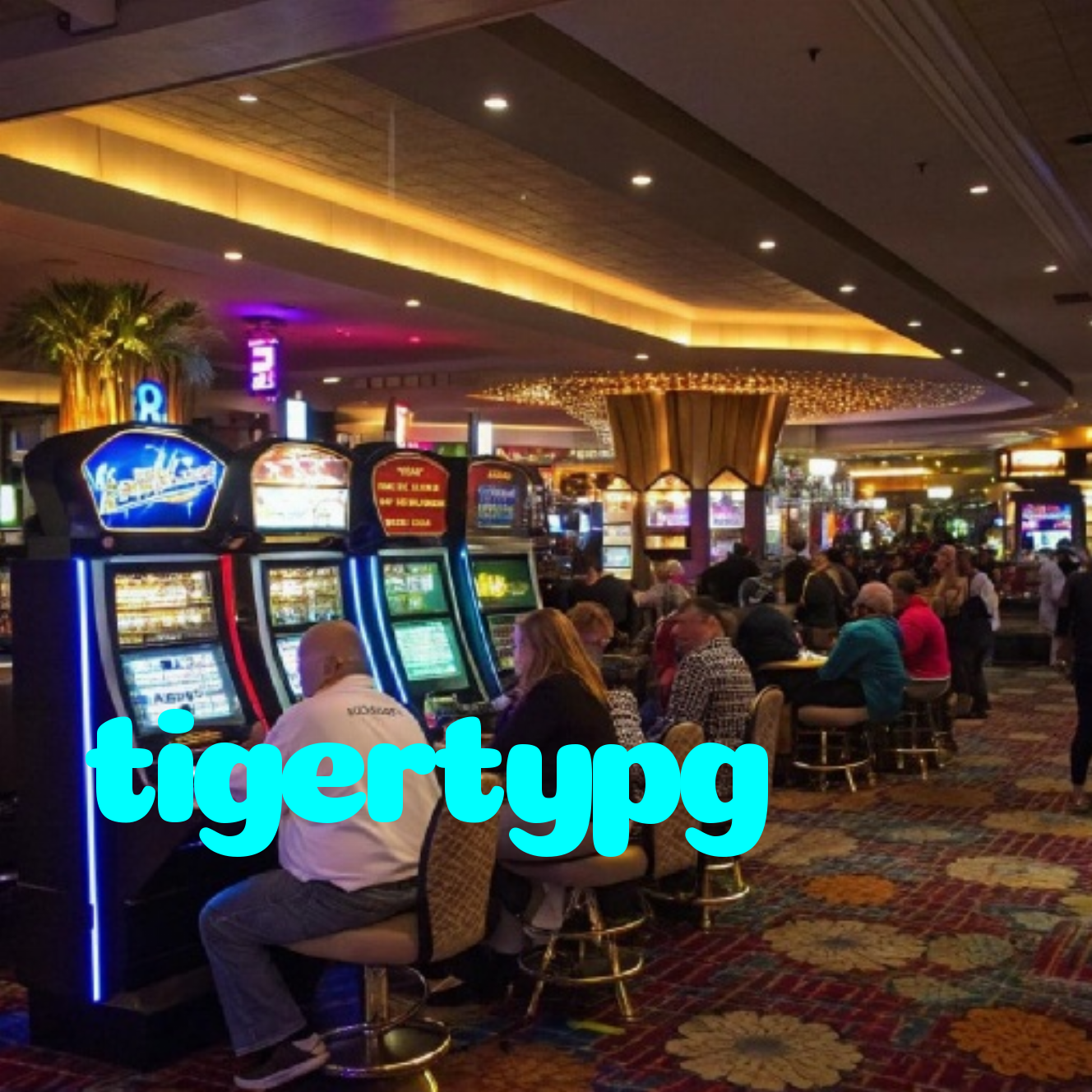 tigertypg