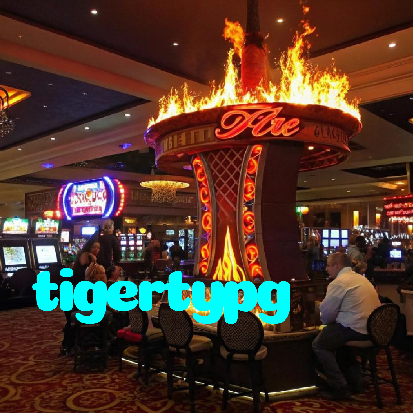 tigertypg